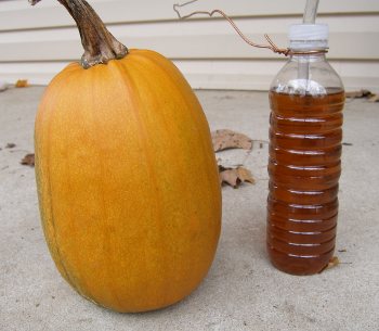 (Image: 18 month old brake fluid next to a pumpkin for color comparison)