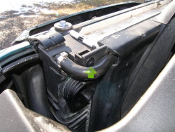 (Image: Closeup of left-side radiator shroud plastic rivet)