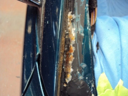 (Image: Rust on the passenger side windshield frame)