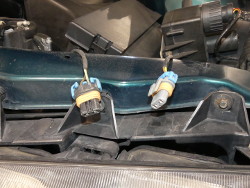 (Image: Closeup of US low and high beam body harness connectors)