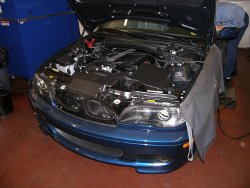 (Image: E36 2014 paint showing hood from above)