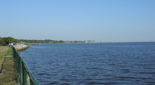 (Image: Looking north along the coast)