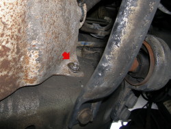 (Image: Forward retaining nut for fuel filter cover)