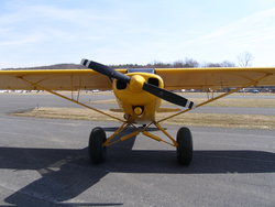 (Image: Front view of Top Cub)