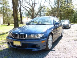 (Image: One E36, One E46, One Dog)