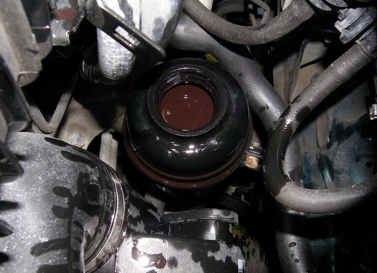 (Image: Power Steering Reservoir)