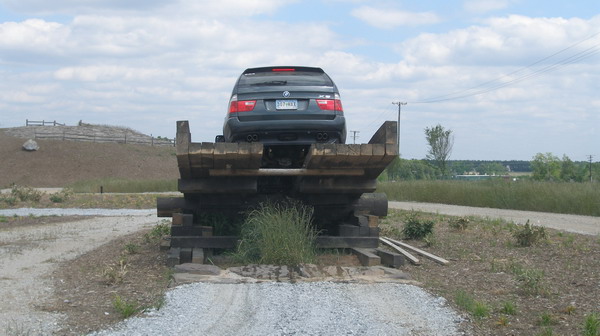 (Image: X5 on Teeter-Totter)