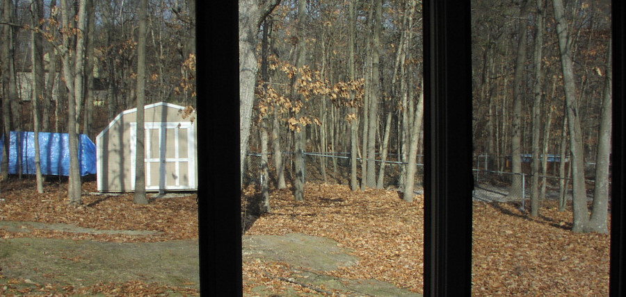 (Image: View out rear window of Monroe Lane)